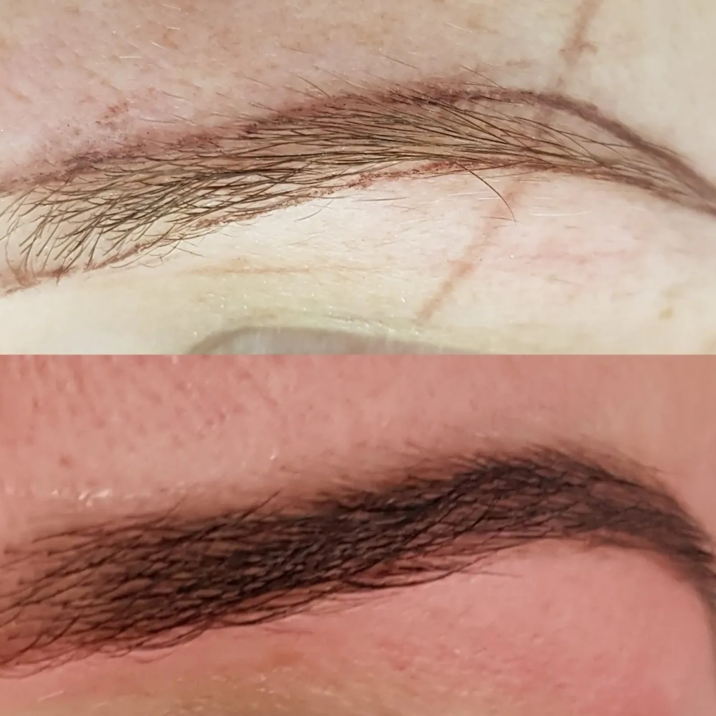 shaped eyebrows before and after